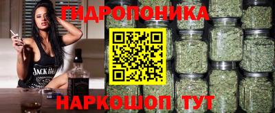 Альфа ПВП Шелехов