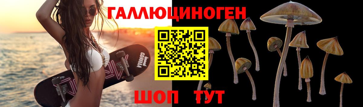 Псилоцибиновые грибы GOLDEN TEACHER  Галлюциногенные грибы мухоморы  Кунгур  Вход с VPN 